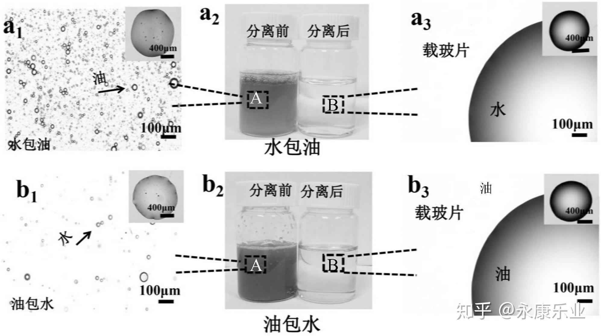 第1633页