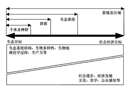 络筒工序概念