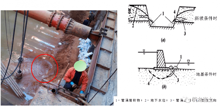 拔毛机械图片及其相关介绍