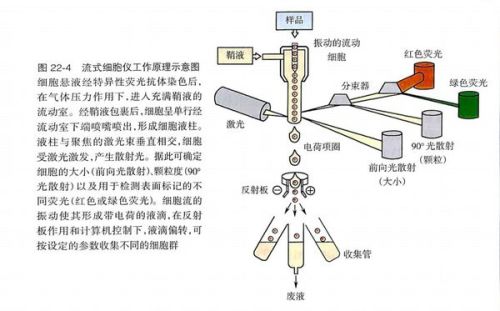 气焊气割的工作原理简述