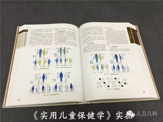 按斤称布料批发，深度解析与实用指南,专家意见解析_6DM170.21