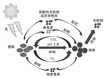 笑挽 第13页