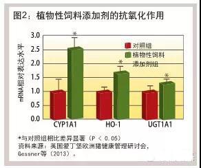 饲料添加剂加工厂，从基础到高级的全面解析,完善的机制评估_SE版33.20.55