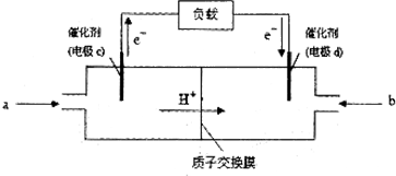 热保护器与汽车清洁喷雾剂，两者间的关联与独立功能,精细设计解析_入门版15.81.23