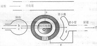 玉石与平衡块的材质是否一样,迅速处理解答问题_C版27.663