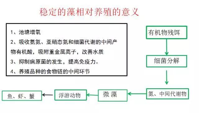 水产测氧仪，监测水质溶氧量的重要工具,迅速处理解答问题_C版27.663