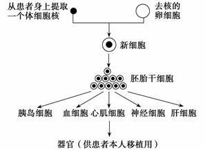 保温棉与过氧化物体是什么反应