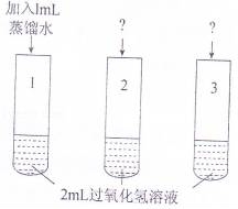 置物架与胶粘剂与再生纱和普通纱区别大吗为什么